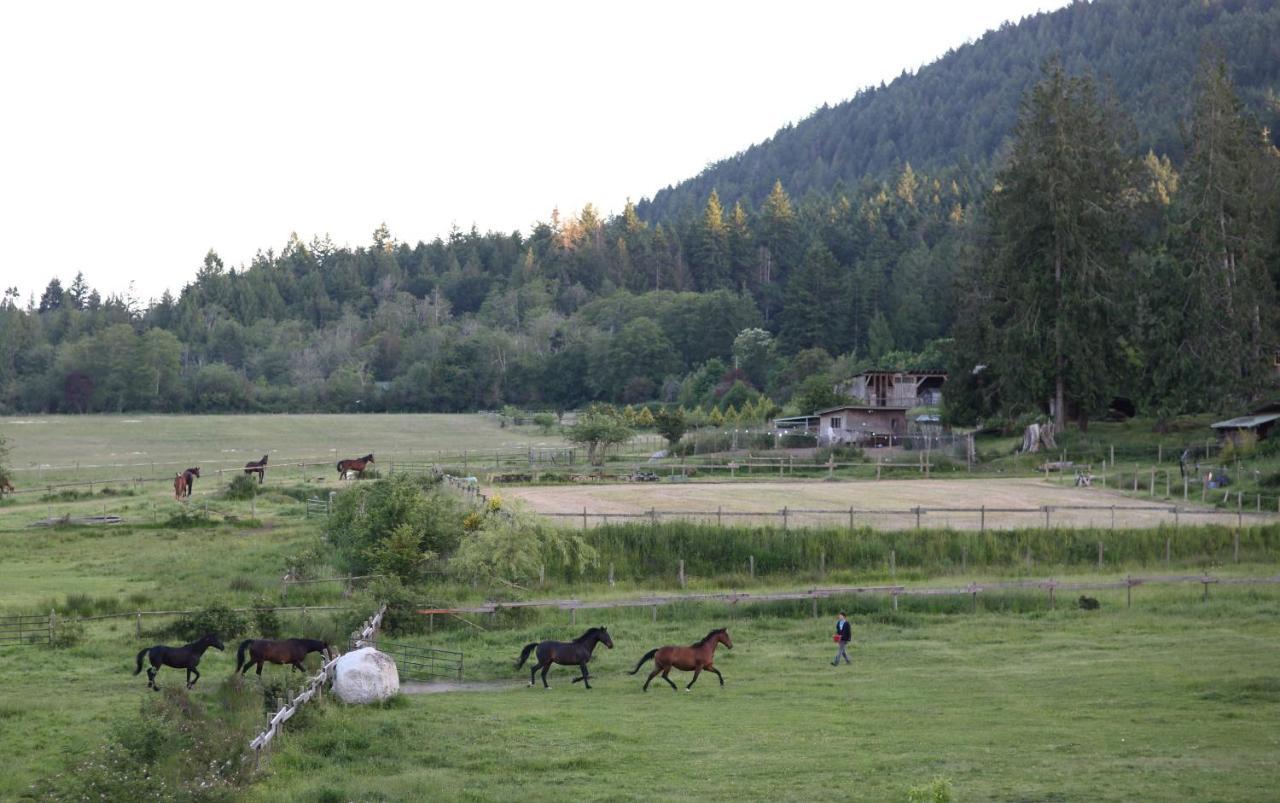 Hotel Woodstone Manor Inc. Sturdies Bay Zewnętrze zdjęcie